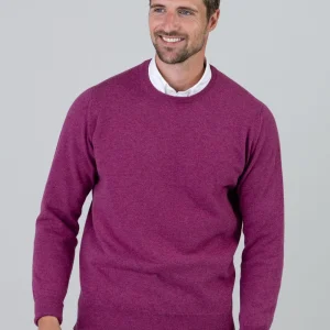 Gordon 1 Ply Geelong Crew Neck