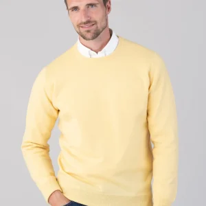 Oxton 1 Ply Cashmere Crew Neck