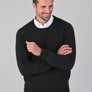 Rob 2 Ply Lambswool Crew Neck