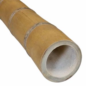 Bamboepaal Guadua Ø 11-13 x 100 cm