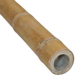 Bamboepaal Guadua Ø 5-7 x 100 cm